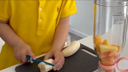 Mini Portable Blender – Electric Fruit Juicer & Smoothie Mixer